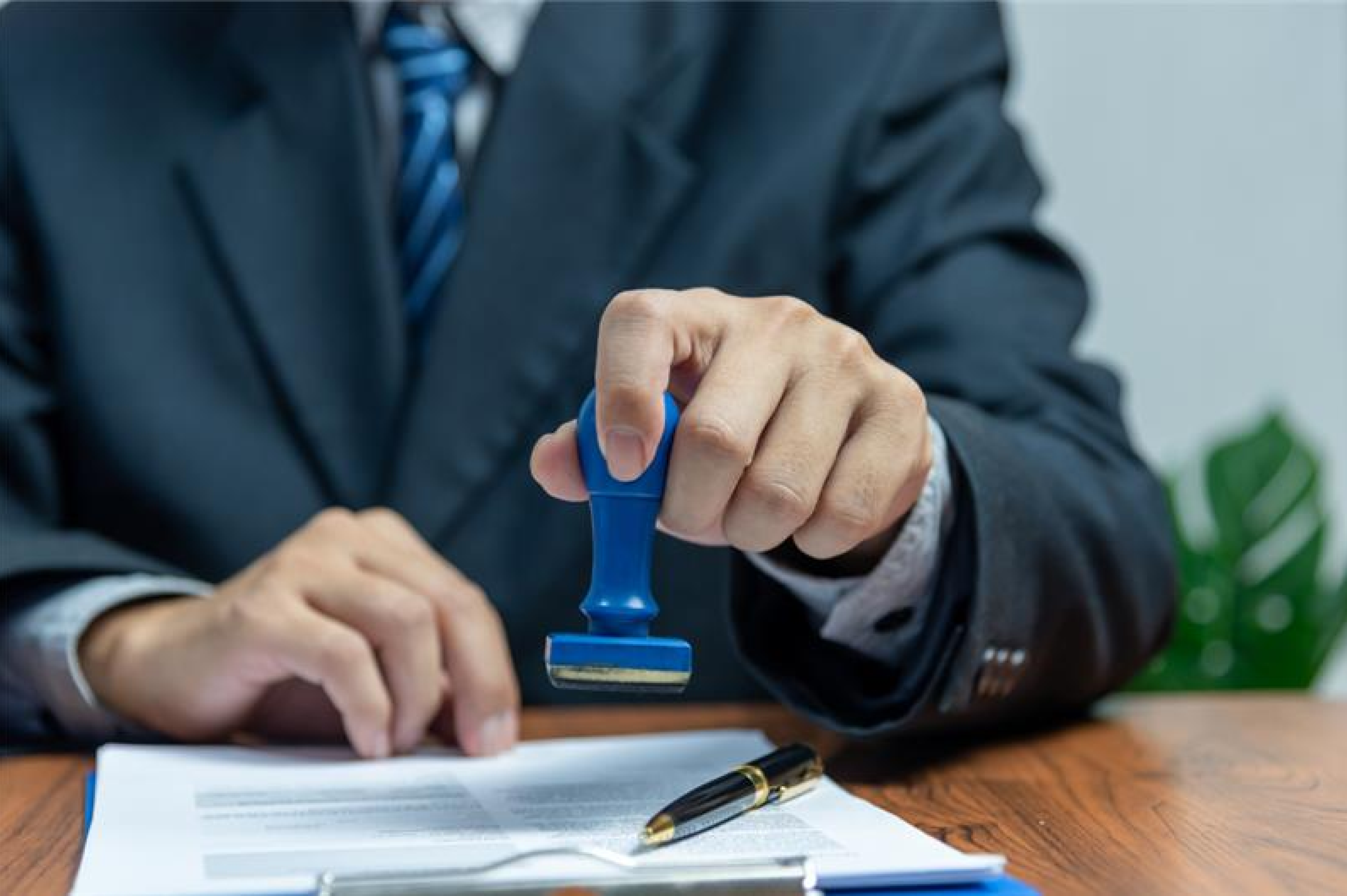 General Insurance Portfolio
